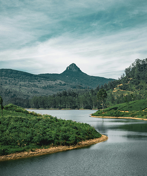 Sri Pada - Adam's Peak
