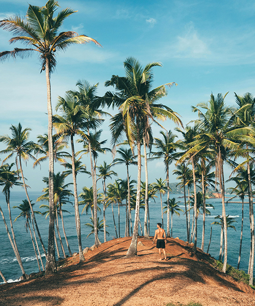 Mirissa Beach
