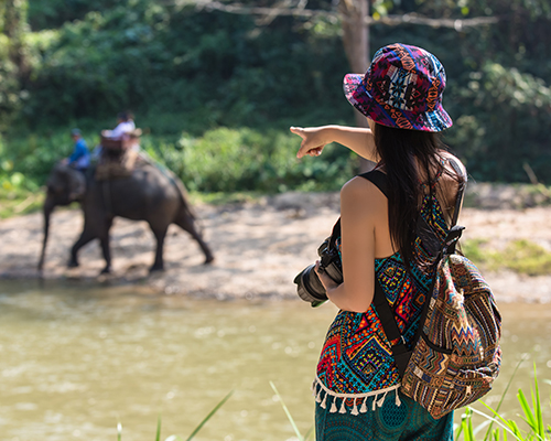 Tours Sri Lanka - One Day Tour