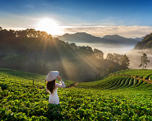 Tours Sri Lanka - Five Days Tour